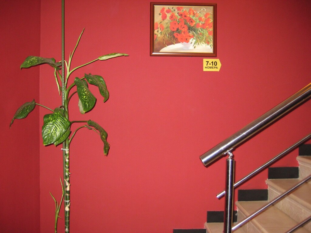 Гостиница Дюна Казань-51