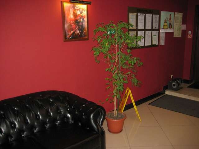 Гостиница Дюна Казань-40